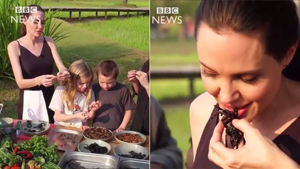 ¿Comerías escorpiones, arañas, tarántulas y grillos? Angelina y sus hijos sí