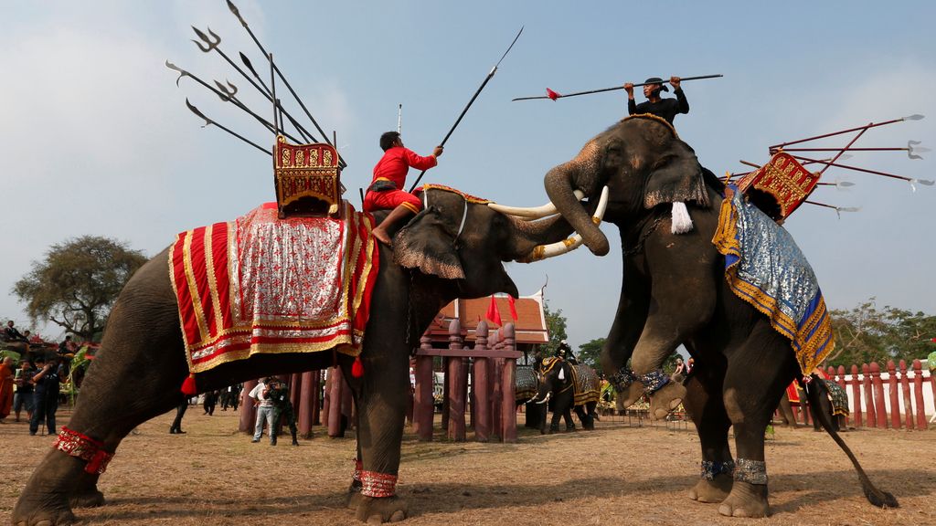 El día del elefante en Tailandia