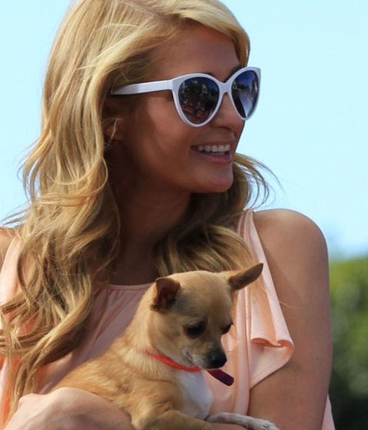 Paris Hilton, 'Una rubia muy legal' pero sin chihuahua: su perro Tinkerbell ha muerto
