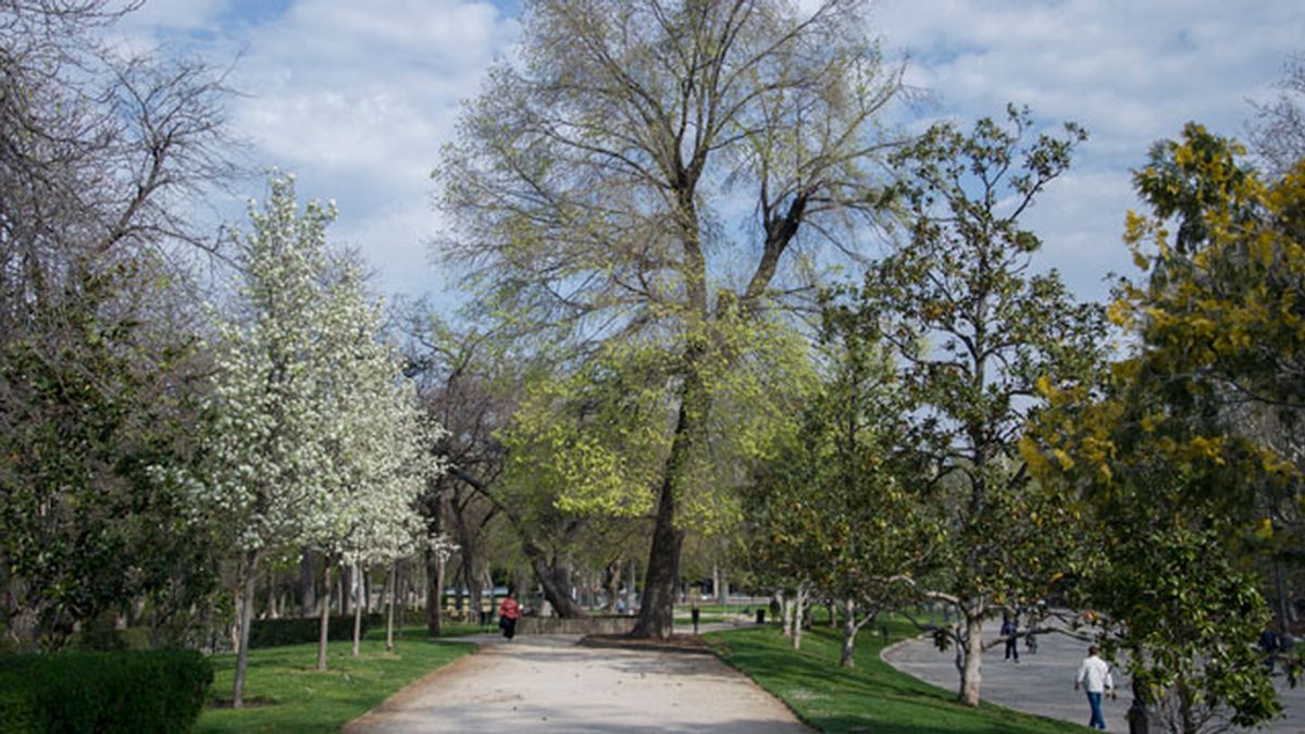 Parque en Madrid, primavera