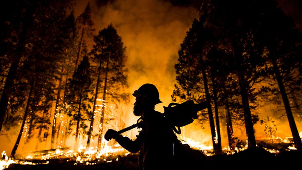 Incendio forestal