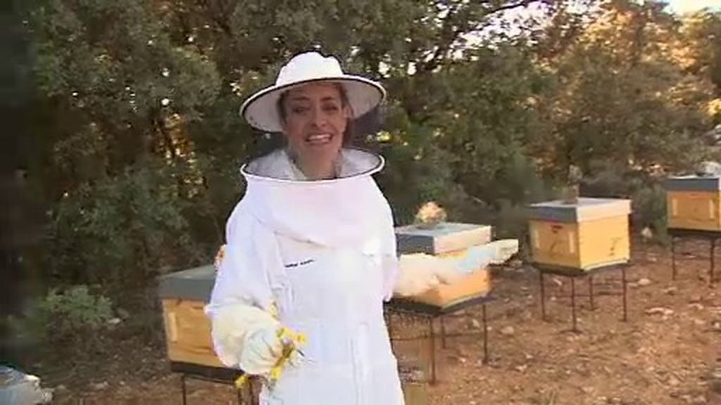 ¿Qué podemos hacer si nos ataca un enjambre de abejas?
