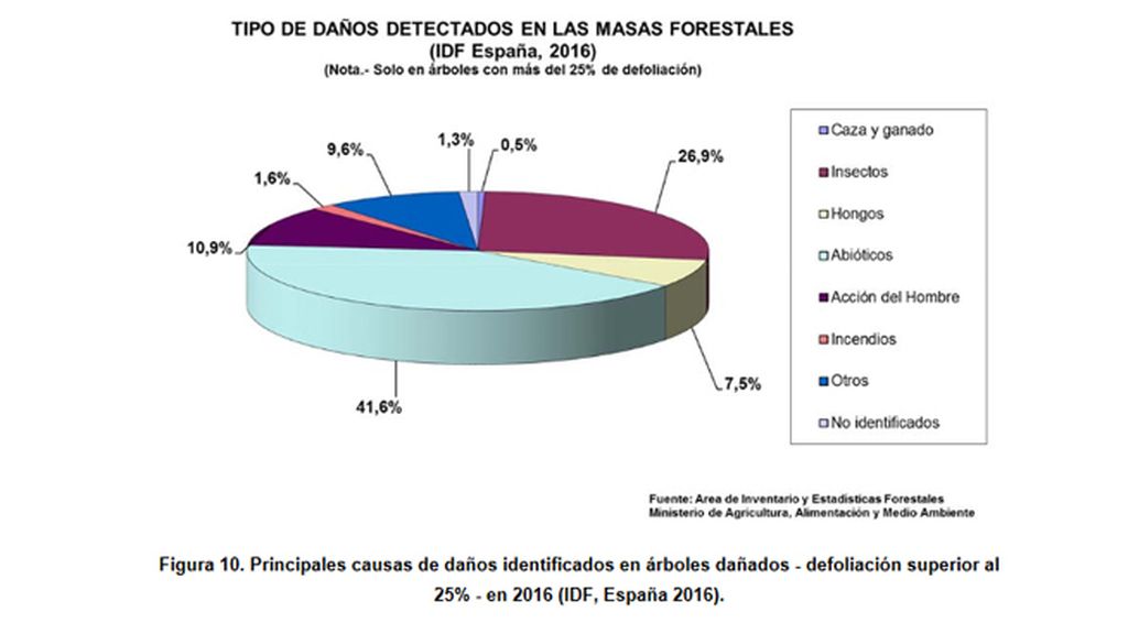 Inventario de Daños Forestales