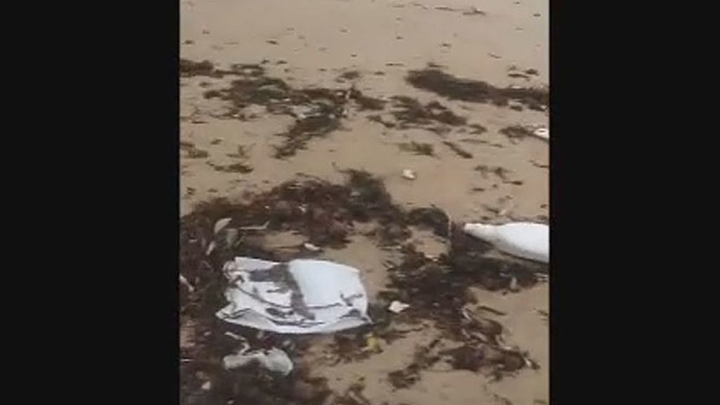 Así vomita basura el Mediterráneo sobre esta playa de Mallorca