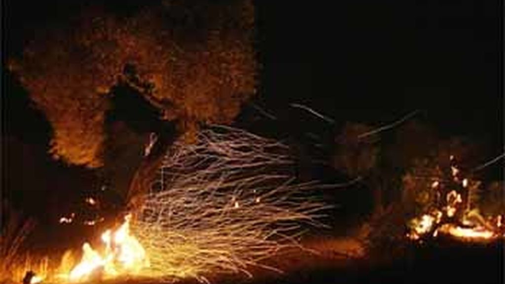 Olivos quemándose durasnte el incendio forestal en Horta de Sant Joan, Tarragona