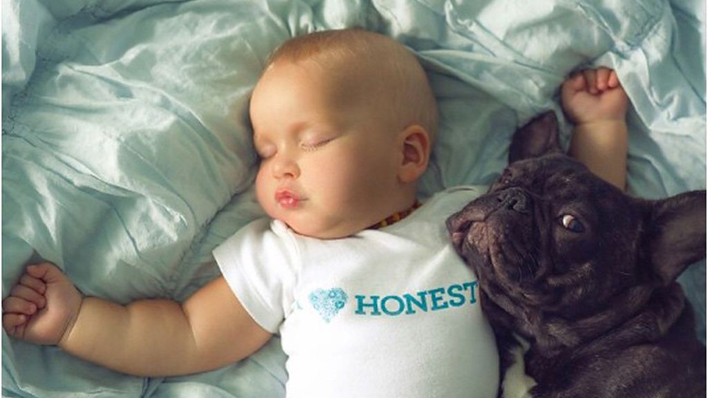 Un perro y un bebé nacen el mismo día y son inseparables