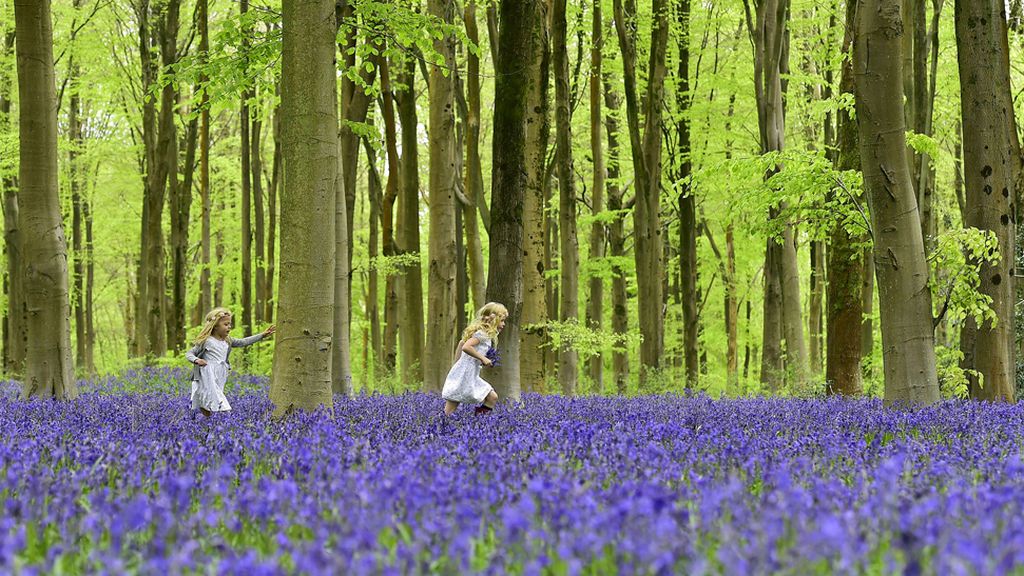 Una vuelta por el mundo, en imágenes