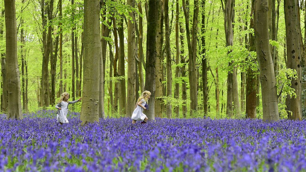 Una vuelta por el mundo, en imágenes