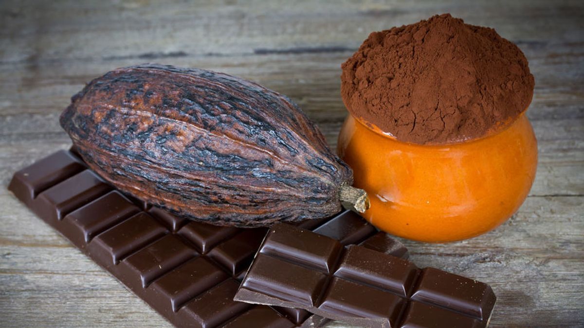 Colombia crea el chocolate del futuro Colombia crea el chocolate del futuro