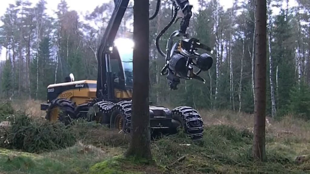 Corta, pela y trocea un árbol en menos de un minuto ¿es posible?