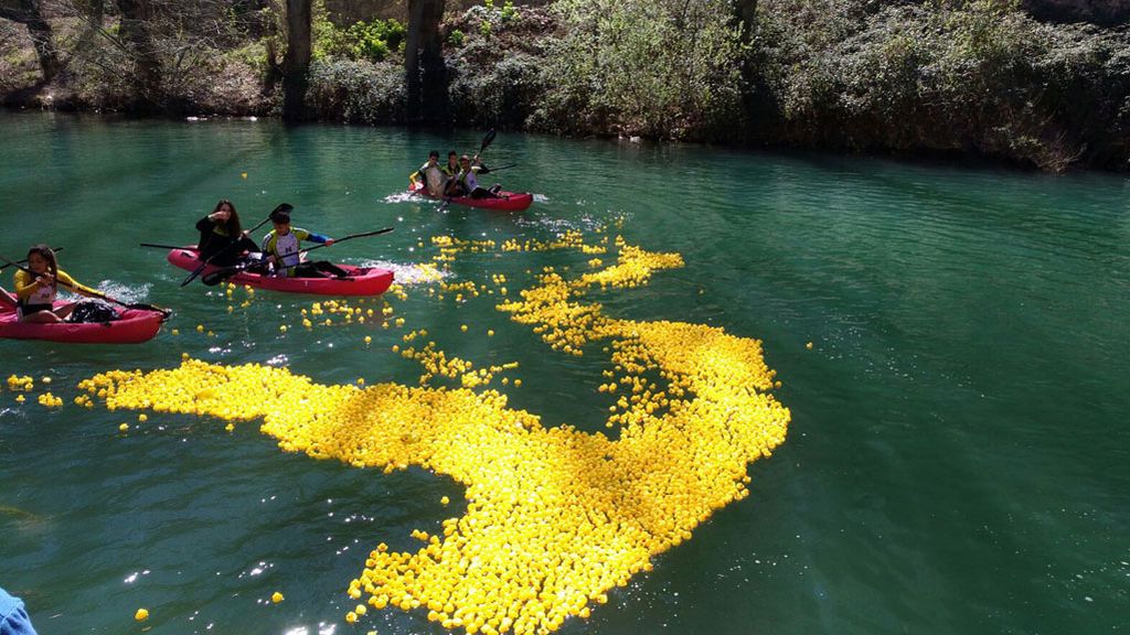 Al agua cinco mil patos solidarios por el autismo