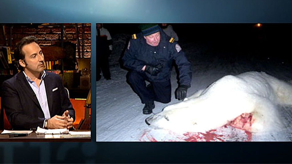 Una mujer consiguió reducir a un oso polar que iba a atacar a su hijo