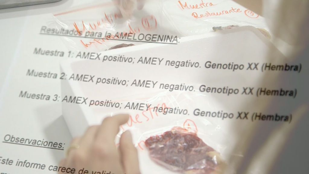 El análisis de tres muestras de carne que venden como buey prueba que ninguna lo es