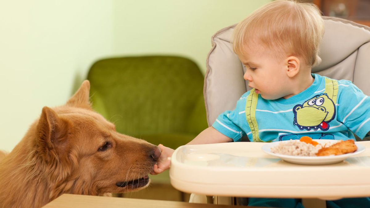 Una mascota en casa puede prevenir las alergias y la obesidad de los más pequeños