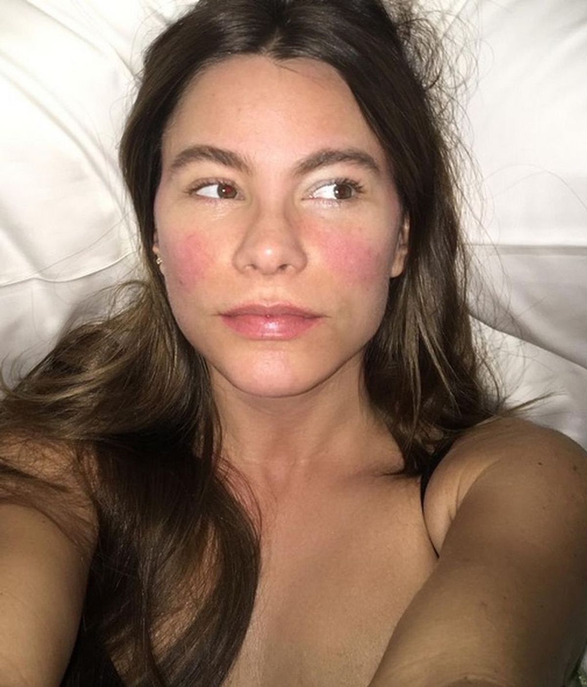 Sofía Vergara publica un selfi sin maquillaje y está irreconocible