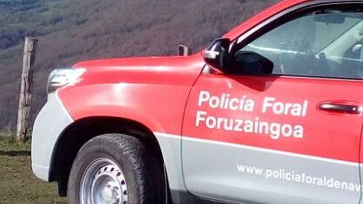 Se entrega el conductor que atropelló mortalmente a un joven en Navarra
