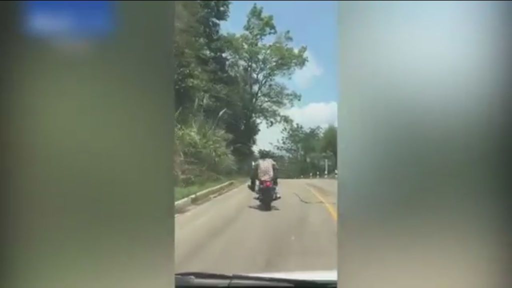 Una serpiente ataca a un motorista en plena conducción