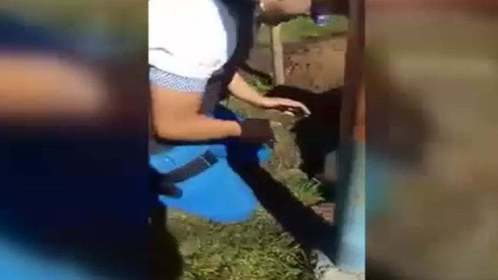 Impresionante rescate de una niña de 6 años atrapada en un hoyo