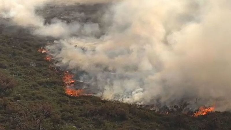 Miles de hectáreas arrasadas en los incendios en Asturias, Galicia y León