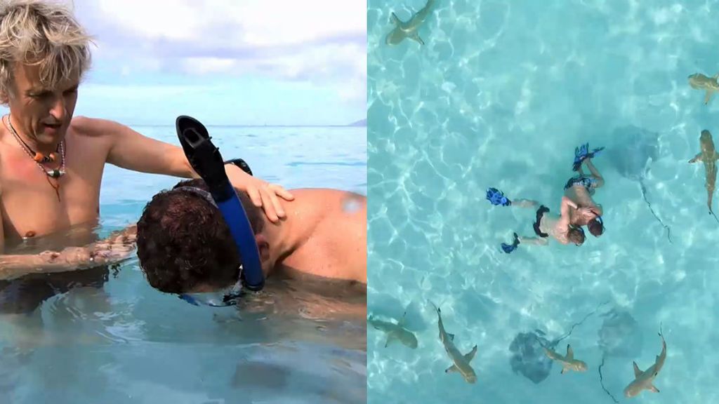 Jorge Javier Vázquez, snorkel entre tiburones: "Me cago en la p***"