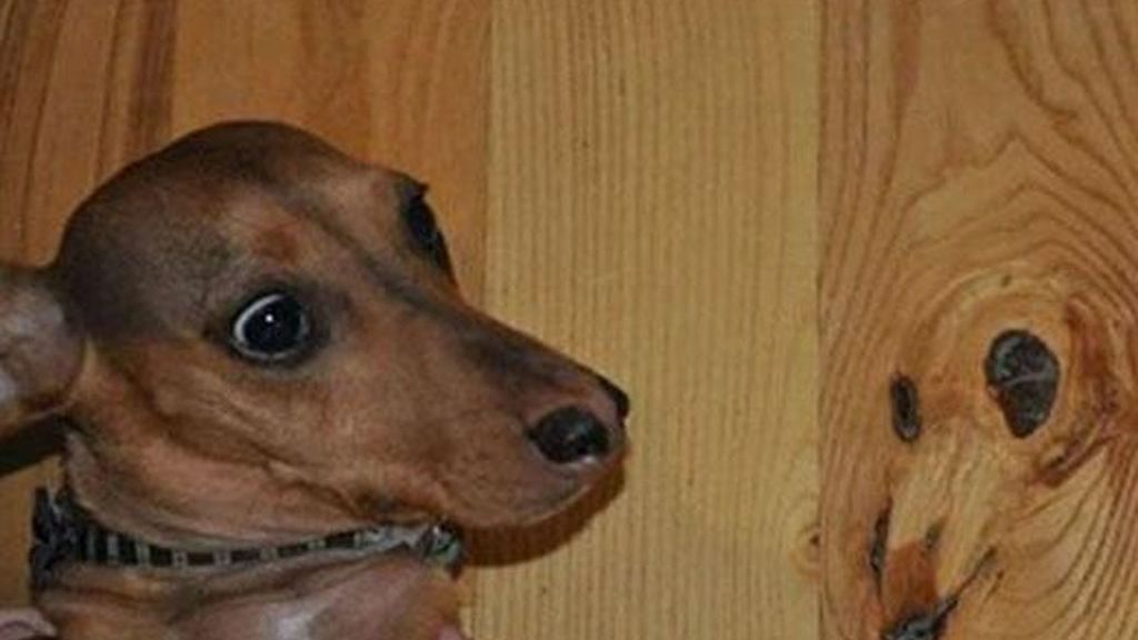 Las pareidolias más hilarantes