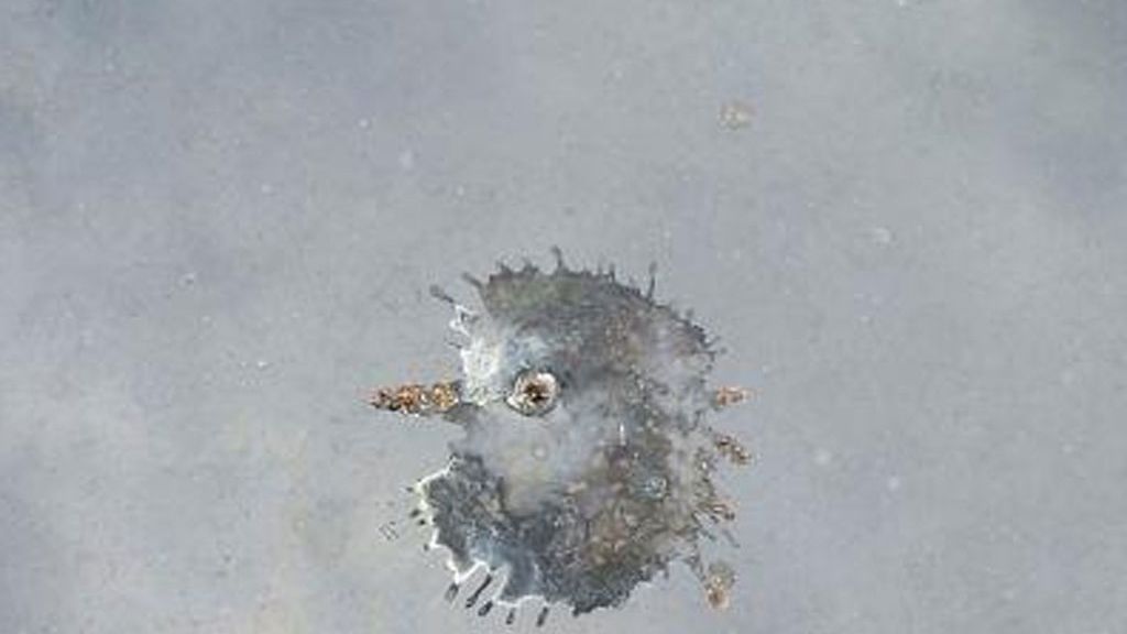 Ver caras o figuras donde no las hay, es decir, el fenómeno de la pareidolia, es lo que muestran estas divertidas imágenes que los usuarios han compartido en redes sociales.