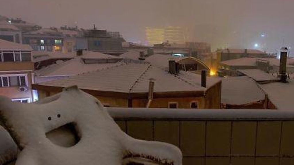 Las pareidolias más hilarantes