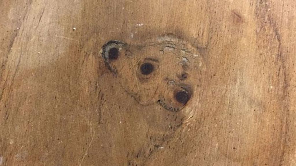 Ver caras o figuras donde no las hay, es decir, el fenómeno de la pareidolia, es lo que muestran estas divertidas imágenes que los usuarios han compartido en redes sociales.