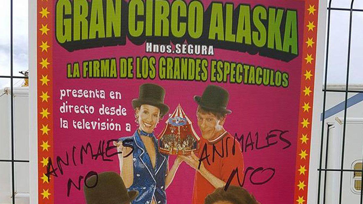 Altercado entre animalistas y trabajadores del Circo Alaska, en Sevilla