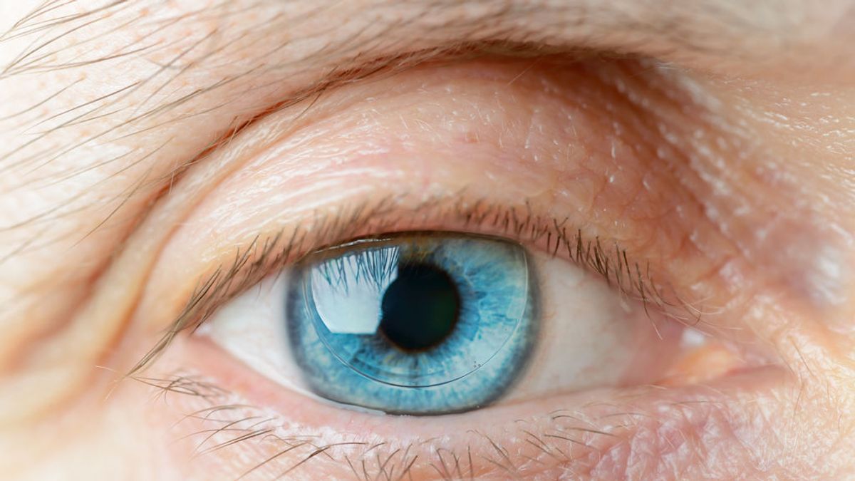 ¿De qué color son tus ojos? Podrían decir mucho sobre tu salud