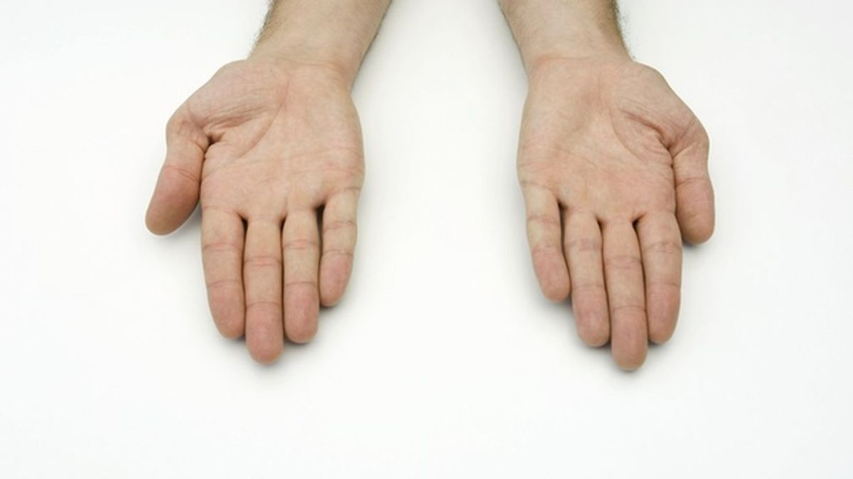 ¿Sabes por qué tenemos líneas en la palma de la mano? Y no son para predecir el futuro
