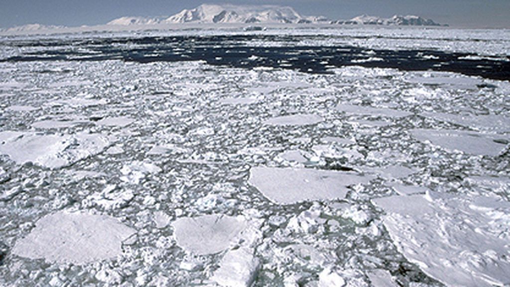 Piel de Dragón: el extraño fenómeno de la naturaleza