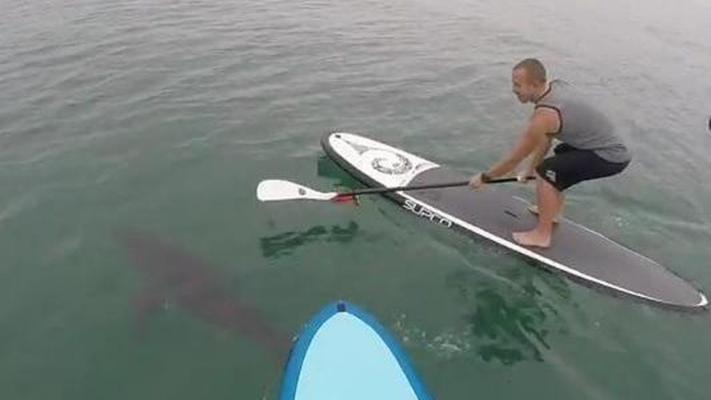 "Está rodeado por quince tiburones", la alerta de un helicóptero a un surfista