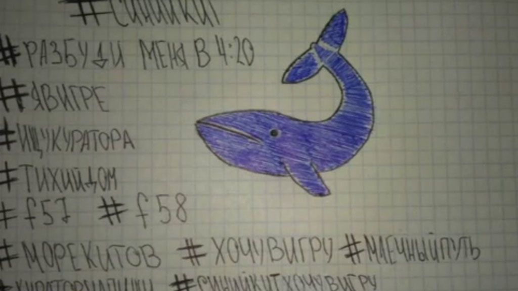 Víctimas de la 'ballena azul': menores entre 12 y 16 años que buscan ser aceptados