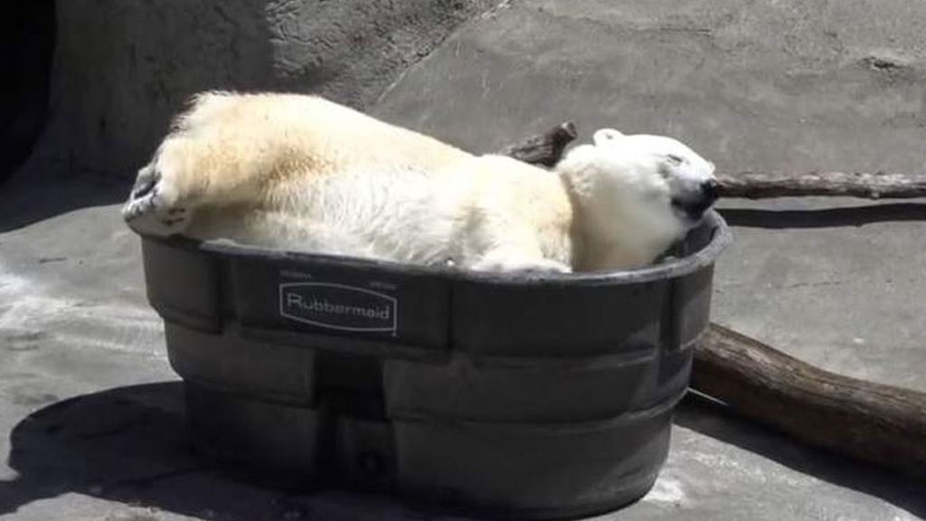Nora on the rocks: nunca un baño de hielo fue tan divertido