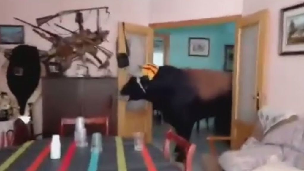 Un toro se mete en una casa durante un encierro en un pueblo de Valencia