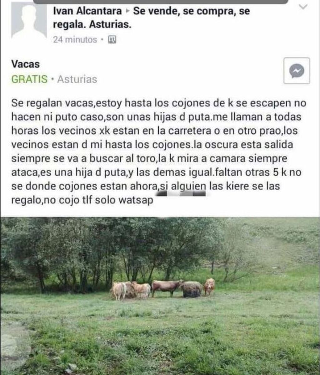 Vacas_1027708480_128879350_667x837