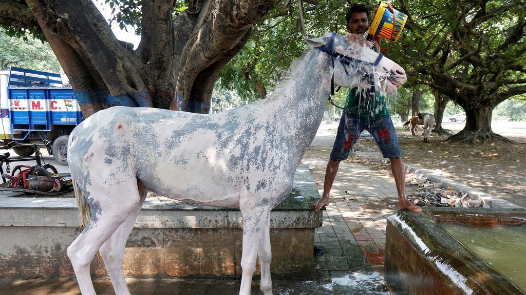 Los efectos del calor en India