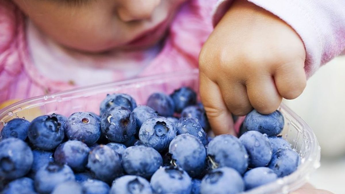 Estos son los seis alimentos que no debes dar a tu hijo si tiene menos de dos años