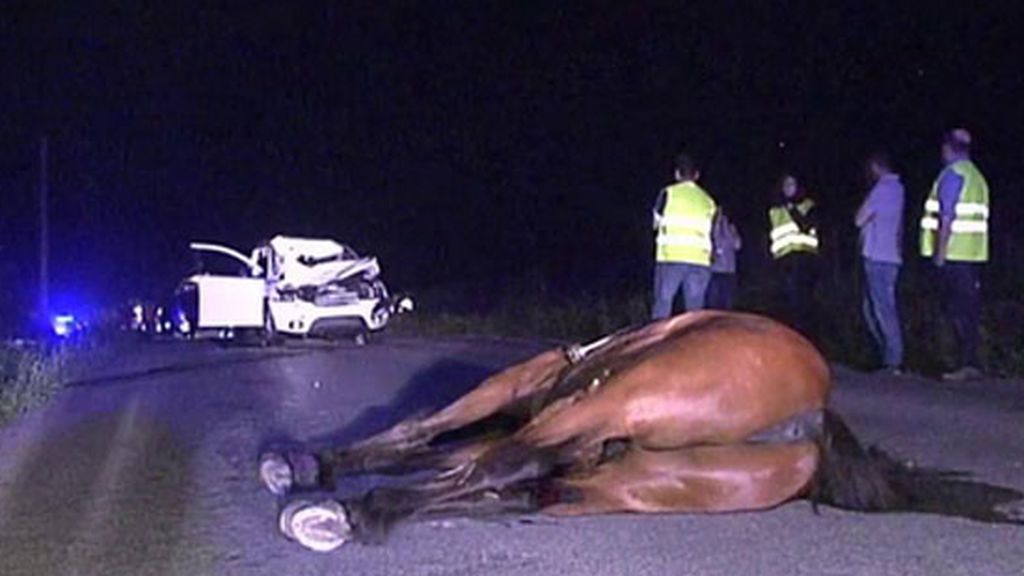 Mueren una joven y su caballo arrollados por un coche en Lugo