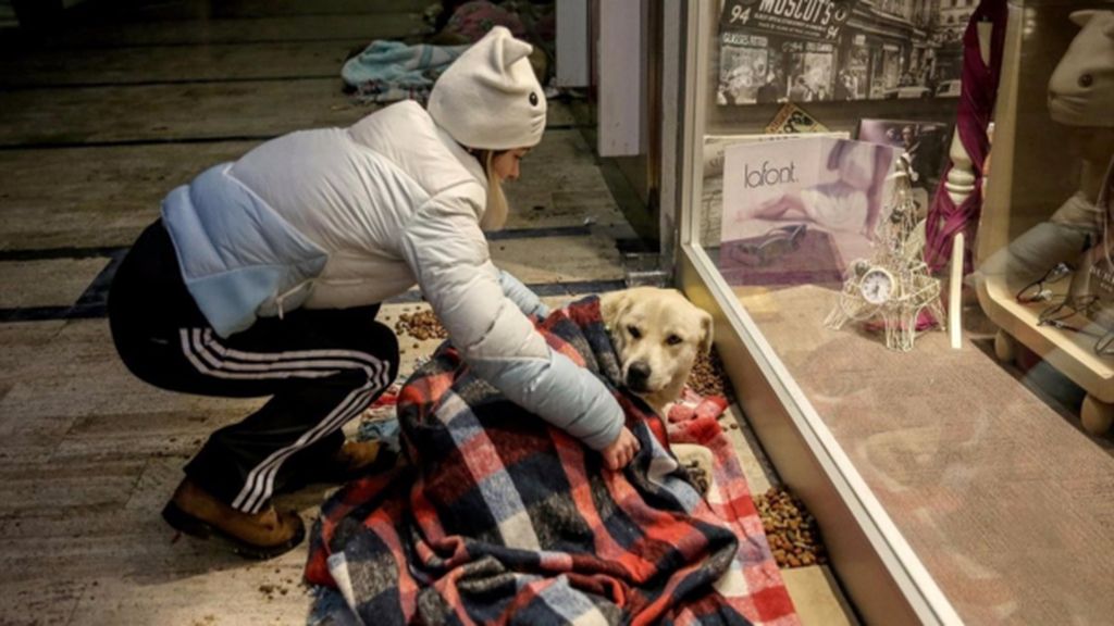 Salvados de las tormentas de nieve que asolan Europa