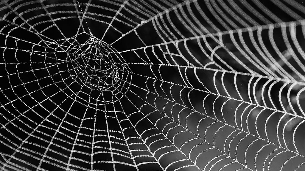 Para tejer lo mejor es el sol