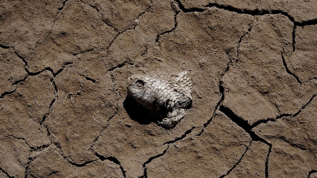 Desaparece el segundo lago más grande de Bolivia