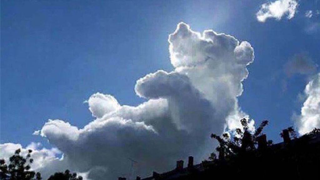 ¡Un osito de verdad? Esas nubes tan nítidas no pueden ser casualidad...