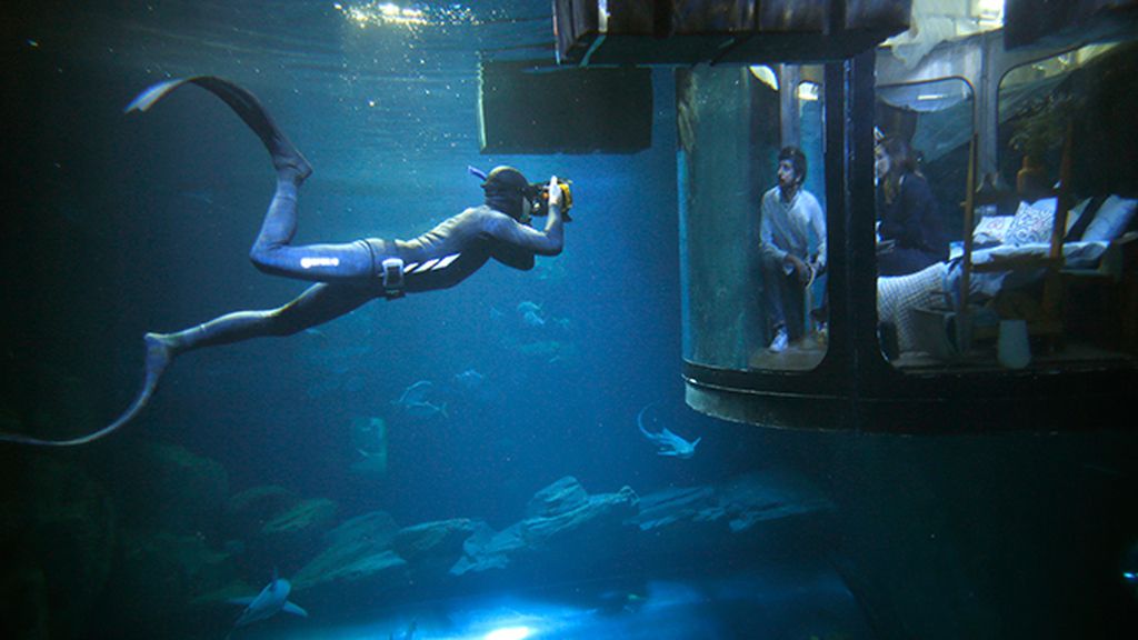 Una habitación en el acuario de París rodeada de 35 tiburones