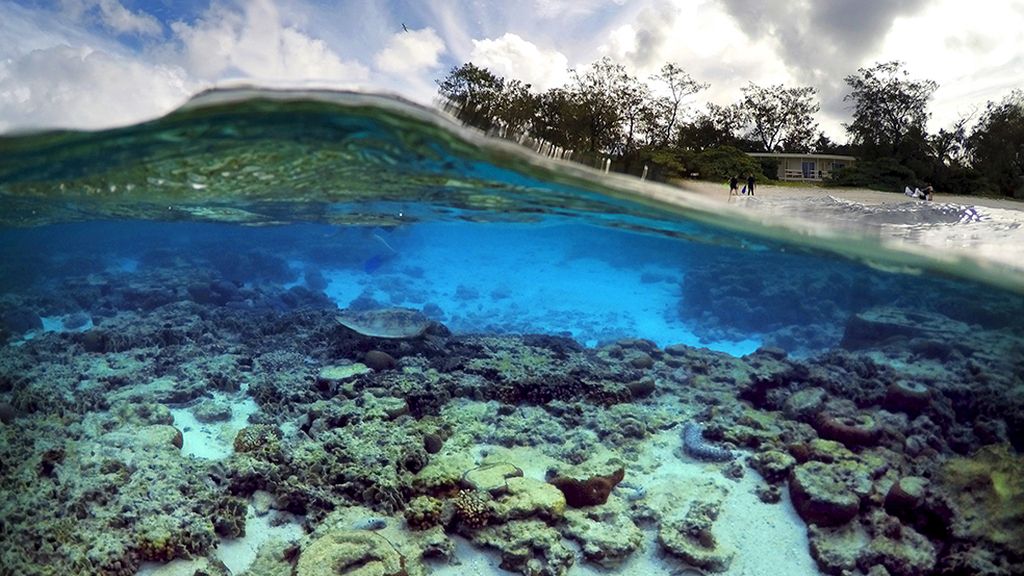 La Gran Barrera de Coral australiana, en peligro