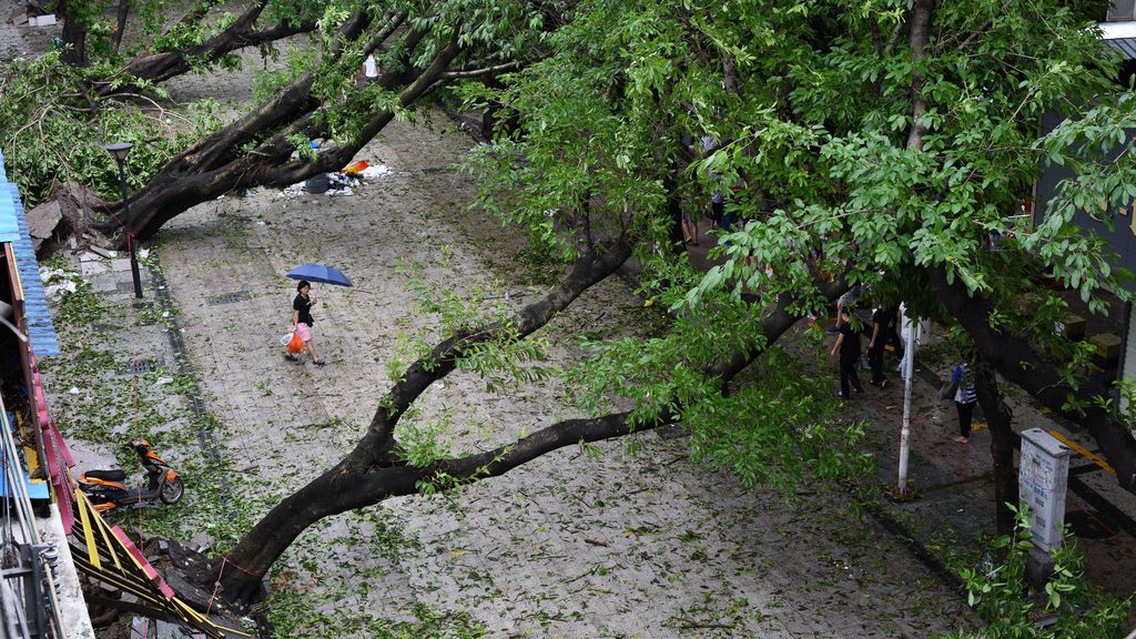 En 2015 se contabilizaron 30 tifones en todo el Pacífico