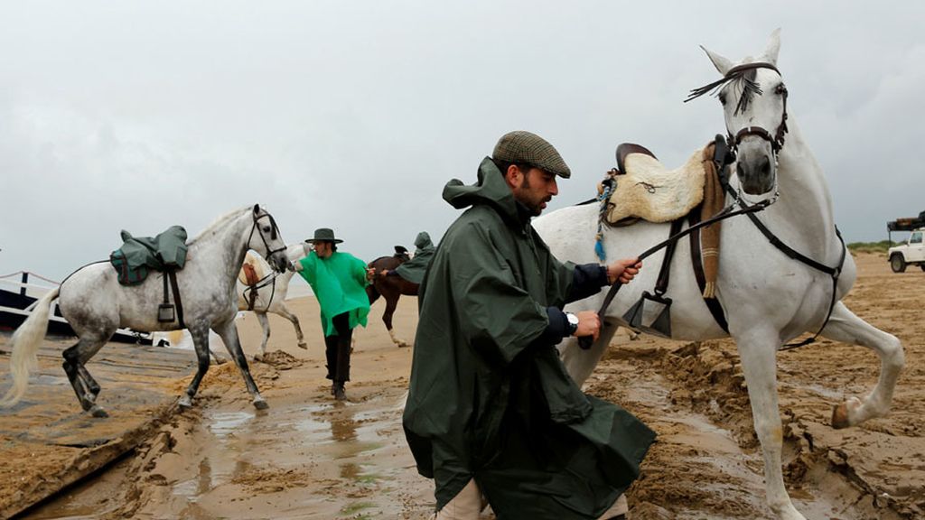 caballos el rocio