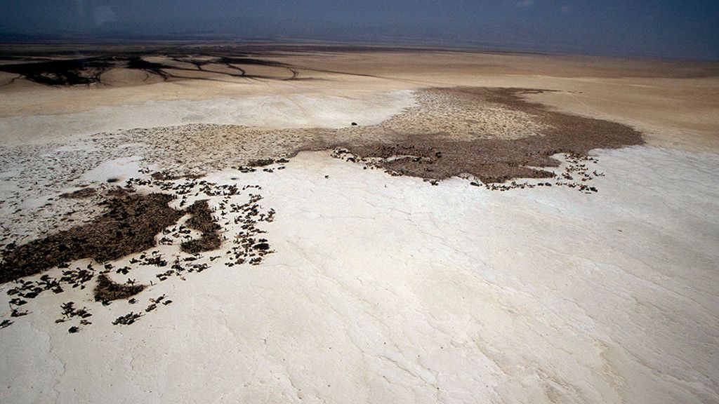 Un pueblo sobrevive con sal en el desierto