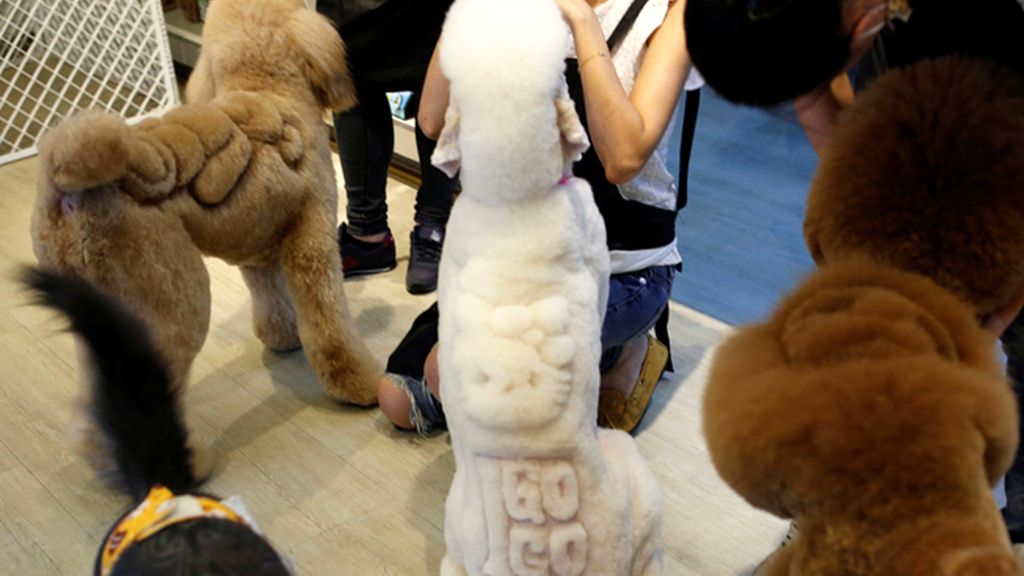 Los dueños deciden el dibujo y el estilo